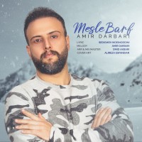 Amir Darbari - Mesle Barf