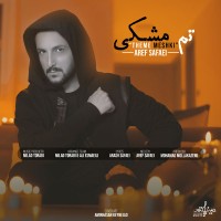 Aref Safaei - Theme Meshki