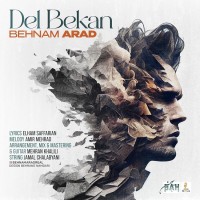 Behnam Arad - Del Bekan