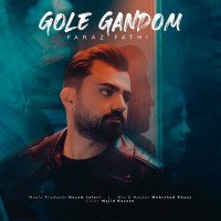 Faraz Fathi - Gole Gandom