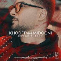 Sepehr Shakeri - Khodetam Midooni