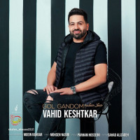 Vahid Keshtkar - Gole Gandom
