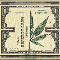 Winer - Sweety Cash