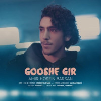 Amirhosein Barsan - Gooshe Gir