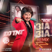 Dj Tnt - Bia Bia ( Remix )