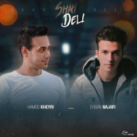 Hamed Kheyri & Ehsan Najafi - Shah Deli