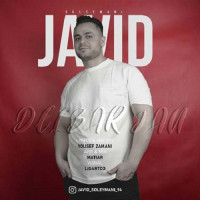 Javid Soleymani - Delbar Jan