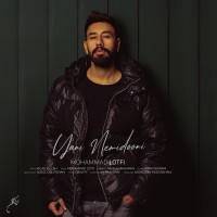 Mohammad Lotfi - Yani Nemidooni