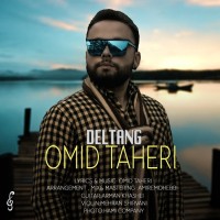Omid Taheri - Deltang