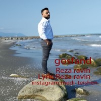 Reza Ravin - Goosfand
