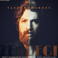 Saeed Modarres - Zendegi Edame Dare ( New Version )