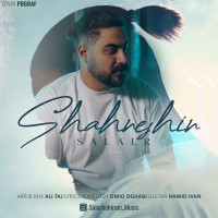 Salar Bahiraei - Shahneshin