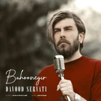 Davood Servati - Bahoone Gir