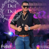 Faraz Baghaeepour - Del Del