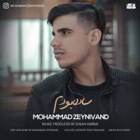 Mohamad Zeynivand - Sade Boodam