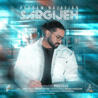 Pedram Najafian - Sargijeh