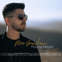 Pouria Fattah - Moo Gandomi