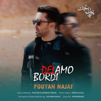 Pouyan Najaf - Bordi Delamo