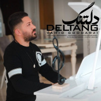 Vahid Goodarzi - Deltang