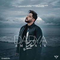 Amin Nik - Darya