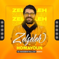 Hamed Homayoun - Zelzeleh ( Dj Hossein Fallah Remix )