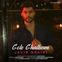 Javid Nasiri - Gole Ghalbam