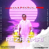 Reza Amiri - Gole Goldoon ( Remix )