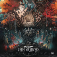 Yaser Binam - Shahi Ya Sheykh