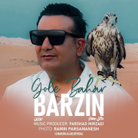 Barzin - Gole Bahar