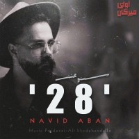 Navid Aban - 28