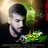 Amin Fayyaz - Mir O Alamdar