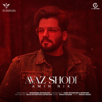 Amin Nik - Avaz Shodi