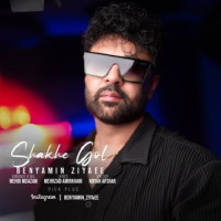 Benyamin Ziaei - Shakhe Gol