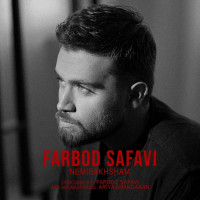 Farbod Safavi - Nemibakhsham