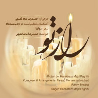 Hamidreza Majd Faghihi - Raze To