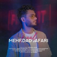 Mehrdad Jafari - Faal