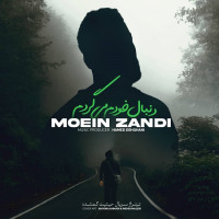 Moein Z - Donbale Khodam Migardam