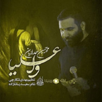 Mohammad Hossein Haddadian - Va Aliya