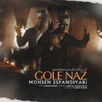 Mohsen Esfandiyari - Gole Naz