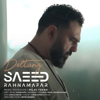 Saeed Rahnamafar - Deltang