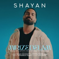 Shayan Mirzaei - Mirize Delam