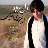 Shayan Mohamadi Baghmollaei - Deldadeh