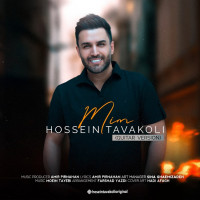Hossein Tavakoli - Mim ( Guitar Version )