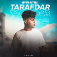 Keyvan Heydari - Tarafdar