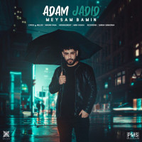 Meysam Bamin - Adam Jadid