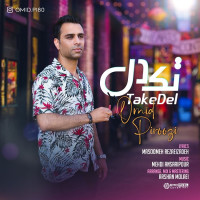 Omid Piroozi - Take Del