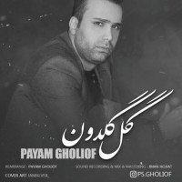 Payam Gholiof - Gole Goldoon
