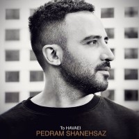 Pedram Shanehsaz - To Havaei
