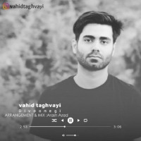 Vahid Taghvayi - Divoonegi