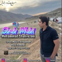 Mohammad Shahrezaei - Shah Mahi